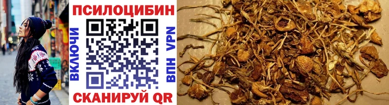 Галлюциногенные грибы Magic Shrooms  мега маркетплейс  Солигалич  сколько стоит 